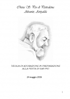 2016-05-19-Tra cielo e terra veglia san pio